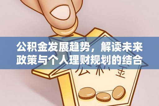 岳普湖公积金发展趋势，解读未来政策与个人理财规划的结合点