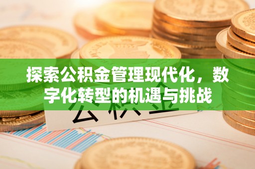岳普湖探索公积金管理现代化，数字化转型的机遇与挑战