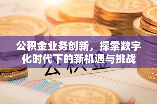 岳普湖公积金业务创新，探索数字化时代下的新机遇与挑战