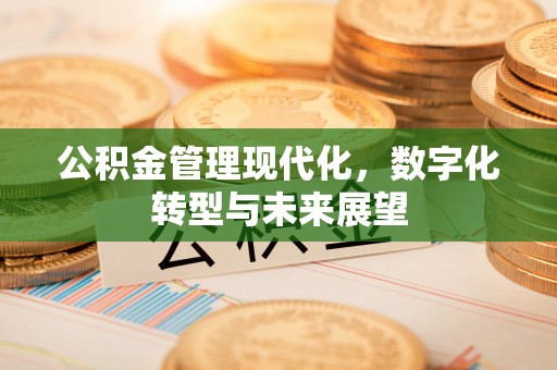 岳普湖公积金管理现代化，数字化转型与未来展望