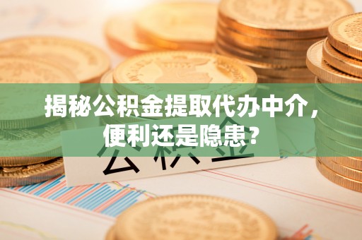 岳普湖揭秘公积金提取代办中介，便利还是隐患？