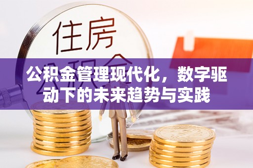 岳普湖公积金管理现代化，数字驱动下的未来趋势与实践