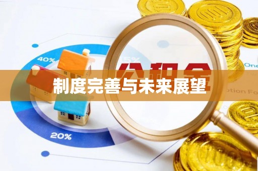 岳普湖制度完善与未来展望