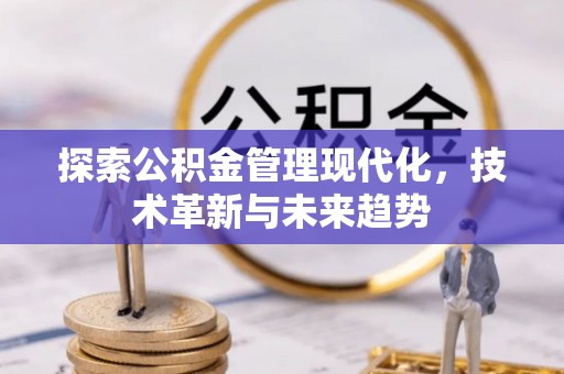岳普湖探索公积金管理现代化，技术革新与未来趋势
