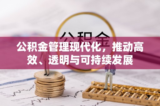岳普湖公积金管理现代化，推动高效、透明与可持续发展