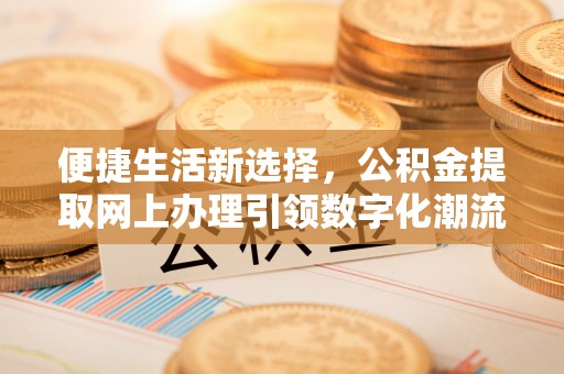 岳普湖便捷生活新选择，公积金提取网上办理引领数字化潮流
