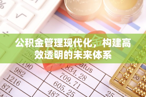 岳普湖公积金管理现代化，构建高效透明的未来体系