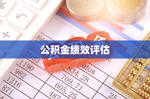 岳普湖公积金绩效评估