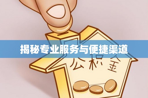 岳普湖揭秘专业服务与便捷渠道