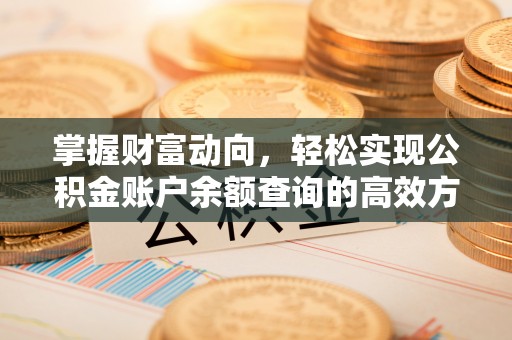 岳普湖掌握财富动向，轻松实现公积金账户余额查询的高效方式
