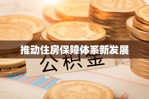 岳普湖推动住房保障体系新发展