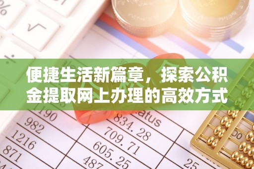 岳普湖便捷生活新篇章，探索公积金提取网上办理的高效方式