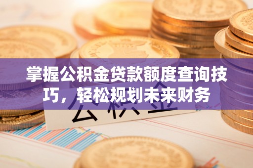 岳普湖掌握公积金贷款额度查询技巧，轻松规划未来财务