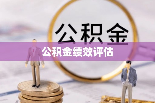 岳普湖公积金绩效评估