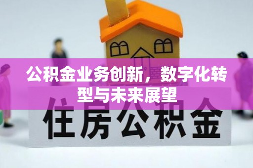 岳普湖公积金业务创新，数字化转型与未来展望