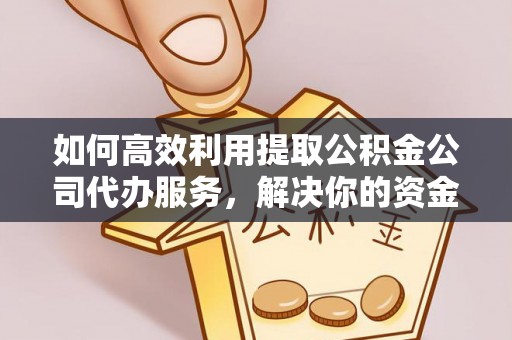 岳普湖如何高效利用提取公积金公司代办服务，解决你的资金难题