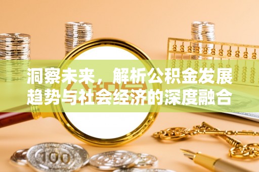 岳普湖洞察未来，解析公积金发展趋势与社会经济的深度融合