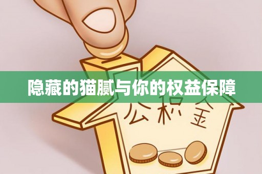 岳普湖隐藏的猫腻与你的权益保障