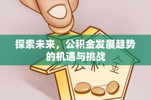岳普湖探索未来，公积金发展趋势的机遇与挑战