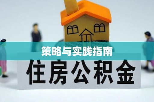 岳普湖策略与实践指南
