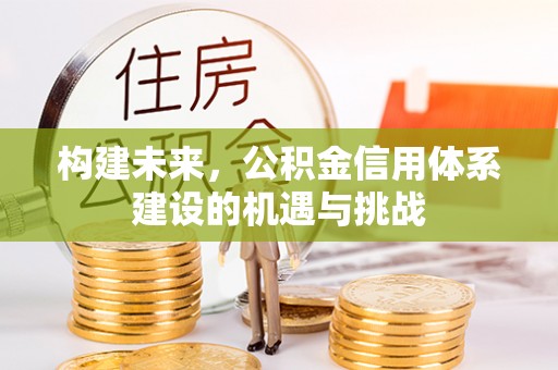 岳普湖构建未来，公积金信用体系建设的机遇与挑战