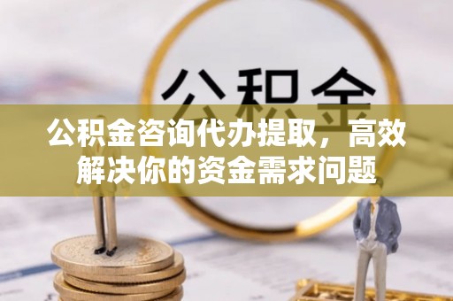 岳普湖公积金咨询代办提取，高效解决你的资金需求问题