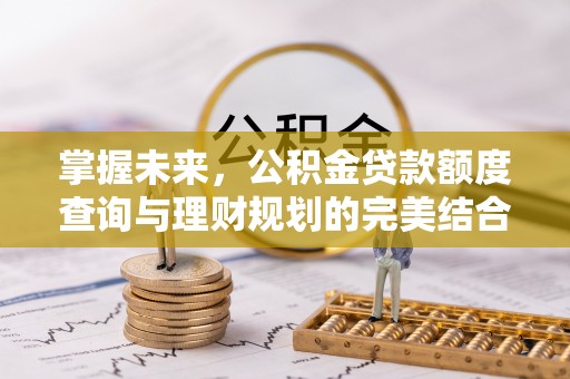 岳普湖掌握未来，公积金贷款额度查询与理财规划的完美结合