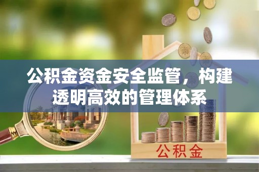 岳普湖公积金资金安全监管，构建透明高效的管理体系