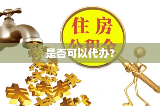 岳普湖是否可以代办？