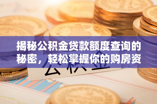 岳普湖揭秘公积金贷款额度查询的秘密，轻松掌握你的购房资金