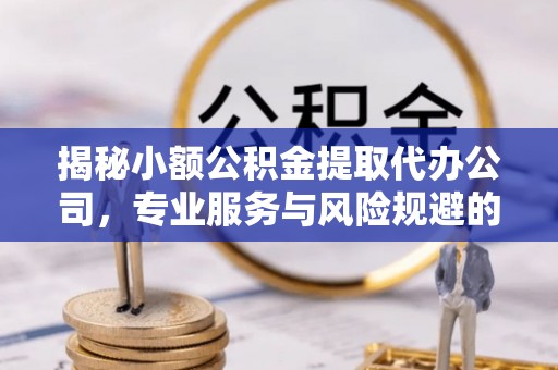 岳普湖揭秘小额公积金提取代办公司，专业服务与风险规避的平衡艺术