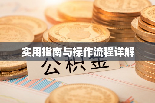 岳普湖实用指南与操作流程详解