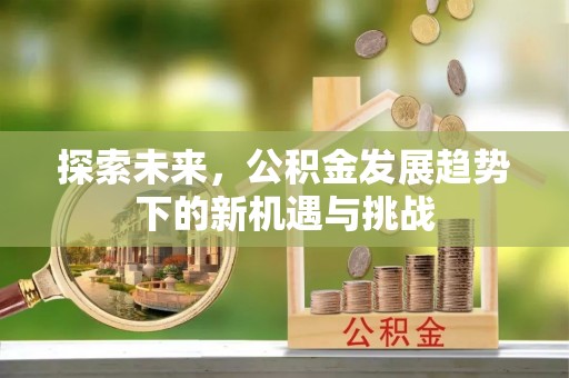 岳普湖探索未来，公积金发展趋势下的新机遇与挑战