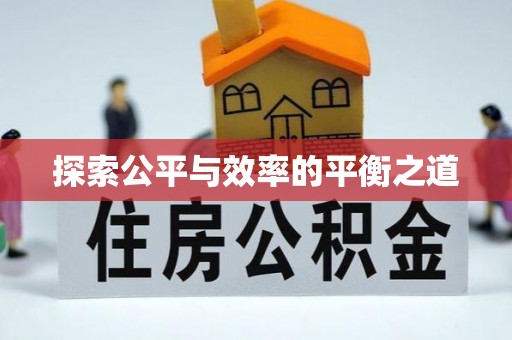 岳普湖探索公平与效率的平衡之道