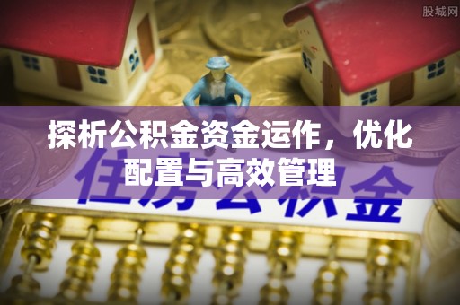 岳普湖探析公积金资金运作，优化配置与高效管理