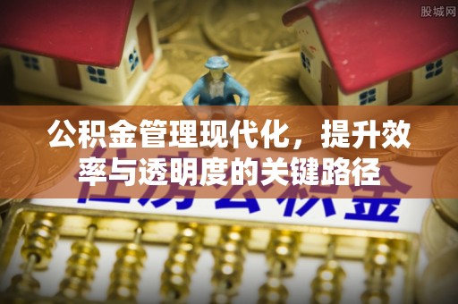 岳普湖公积金管理现代化，提升效率与透明度的关键路径