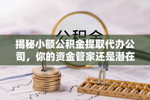 岳普湖揭秘小额公积金提取代办公司，你的资金管家还是潜在风险？