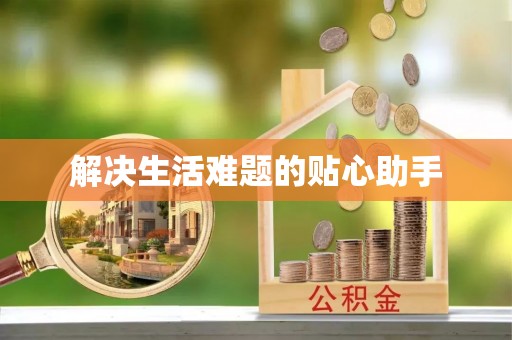 岳普湖解决生活难题的贴心助手