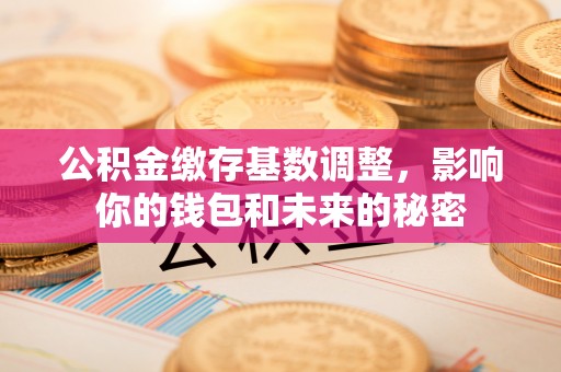 岳普湖公积金缴存基数调整，影响你的钱包和未来的秘密
