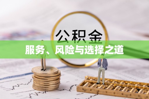 岳普湖服务、风险与选择之道