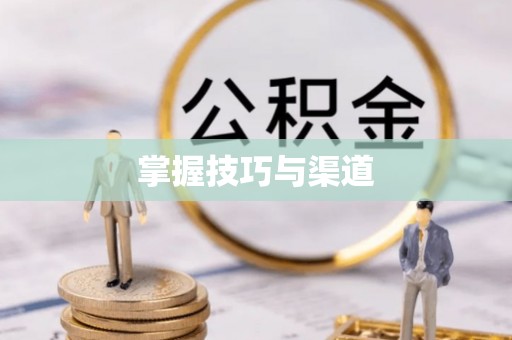 岳普湖掌握技巧与渠道