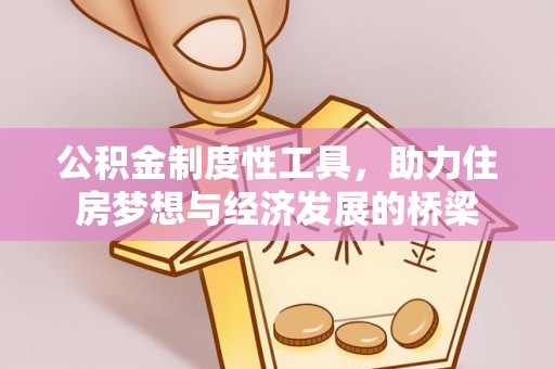岳普湖公积金制度性工具，助力住房梦想与经济发展的桥梁