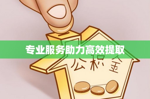岳普湖专业服务助力高效提取