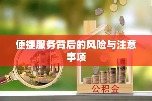 岳普湖便捷服务背后的风险与注意事项