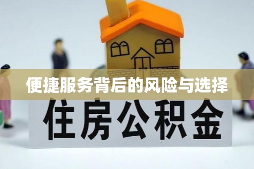 岳普湖便捷服务背后的风险与选择
