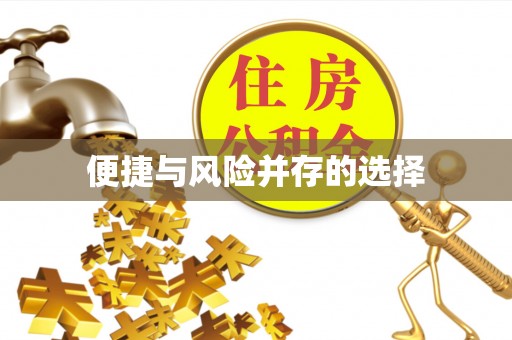岳普湖便捷与风险并存的选择