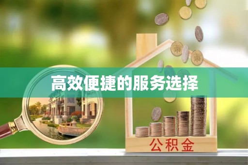 岳普湖高效便捷的服务选择
