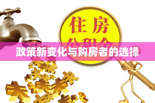 岳普湖政策新变化与购房者的选择