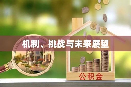 岳普湖机制、挑战与未来展望